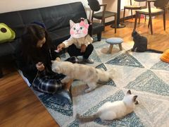-猫爪屋猫咖(乐汇城店)