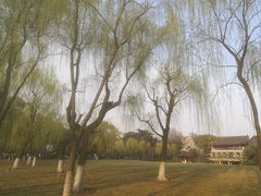 -柳浪闻莺公园