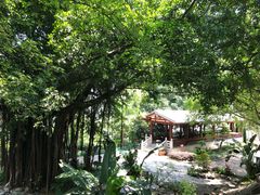 -乌山风景区