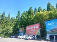-东平国家森林公园