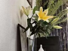 -Dragonfly悠庭·按摩Spa(静安嘉里中心店)