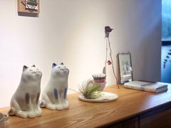 -猫里有甜