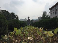 -四川大学(华西校区)