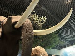 -天津自然博物馆