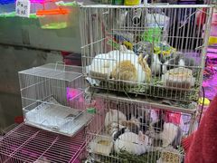 -双季花艺园艺市场(浦东店)