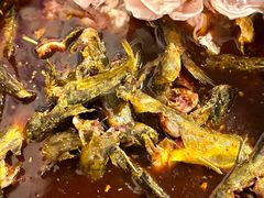 -金海椒罐罐鲢鱼(东方桂苑店)