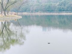 景点-月湖风景区