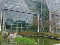-南山植物园