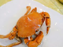 -台山美食一绝阿四台山黄鳝饭(阿四创作店)