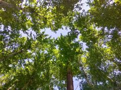 -长春市南湖公园