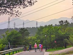 -白水寺森林公园