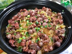-石岐乳鸽村(南海第三分店)