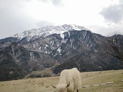 -硗碛藏寨·神木垒景区