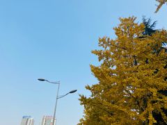 -两江幸福广场