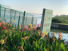 -阳澄湖半岛旅游度假区