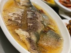 酒香蒸鲥鱼-东方明珠老上海8号餐厅(东方明珠广播电视塔店)