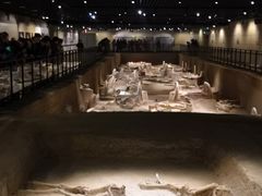 -洛阳周王城天子驾六博物馆