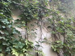 -瓦舍茶馆(聚源路店)