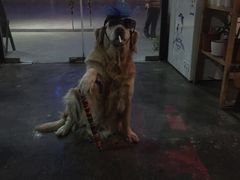-赢吧Bliss音乐酒吧