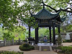 -古琴台