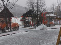 -亚布力新体委滑雪场