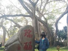 -瑞丽独树成林风景区