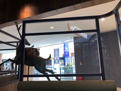 -大树餐厅(益田假日店)