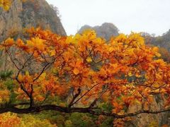 -吉林拉法山