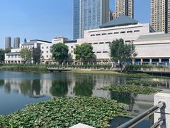 -后襄河公园