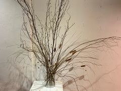 -柴务处·柴犬主题狗咖