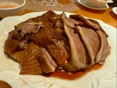 -金燕岛潮州酒楼