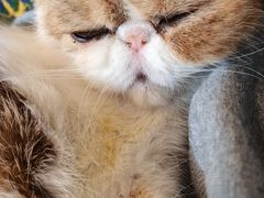 -平行世界·猫咖(首经贸店)