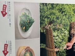 -眉州东坡(民族园店)