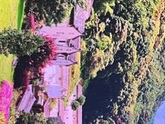 -雁南飞茶田景区