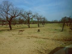 -西安秦岭野生动物园