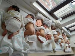 点击看大图 -海豚湾高端月子会所(黄浦店)