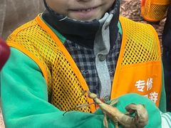 -上海大自然野生昆虫馆(东方明珠·爬宠昆虫探索中心)