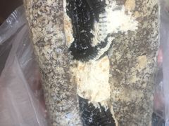 咖啡奥利奥-LELECHA乐乐茶(上海五角场万达广场店)