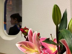 -法兰度航空主题餐厅(端州店)