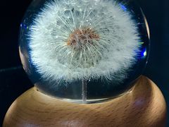 -天空音乐盒(五道营胡同店)