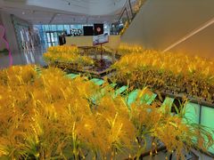 -万隆广场(昆仑大街店)