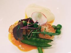 -蝶舍·MAISON PAPILLON