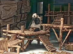 -大青山野生动物园