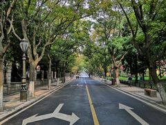 -八大关景区