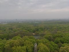 -灵谷景区