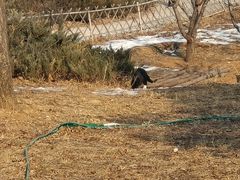 -北京西山国家森林公园