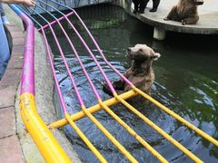 -贵州森林野生动物园