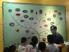 -上海昆虫博物馆