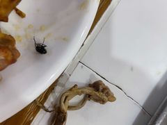 -仙合盛东北铁锅炖(总店)