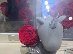 -ROSEONLY诺誓(磐基中心店)